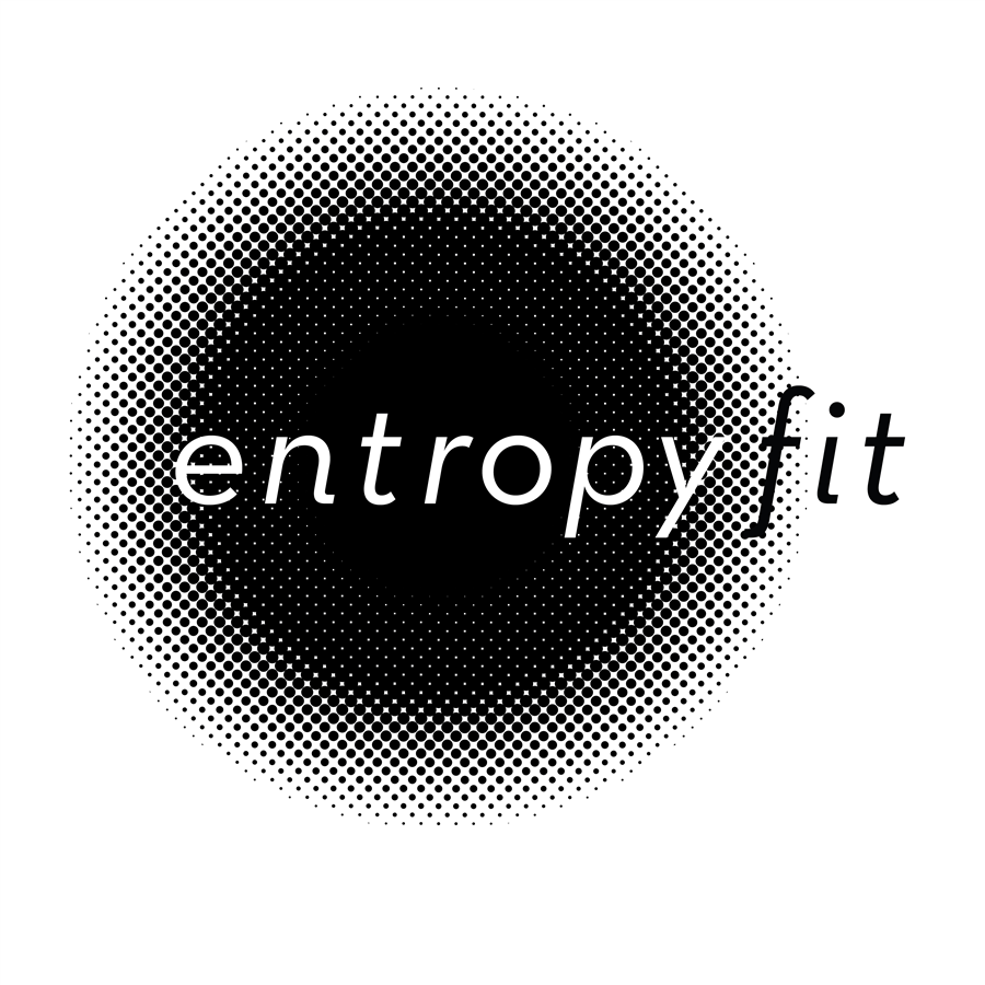 The EntropyFit mark — a halftone dot gradient dissolving from order to disorder
